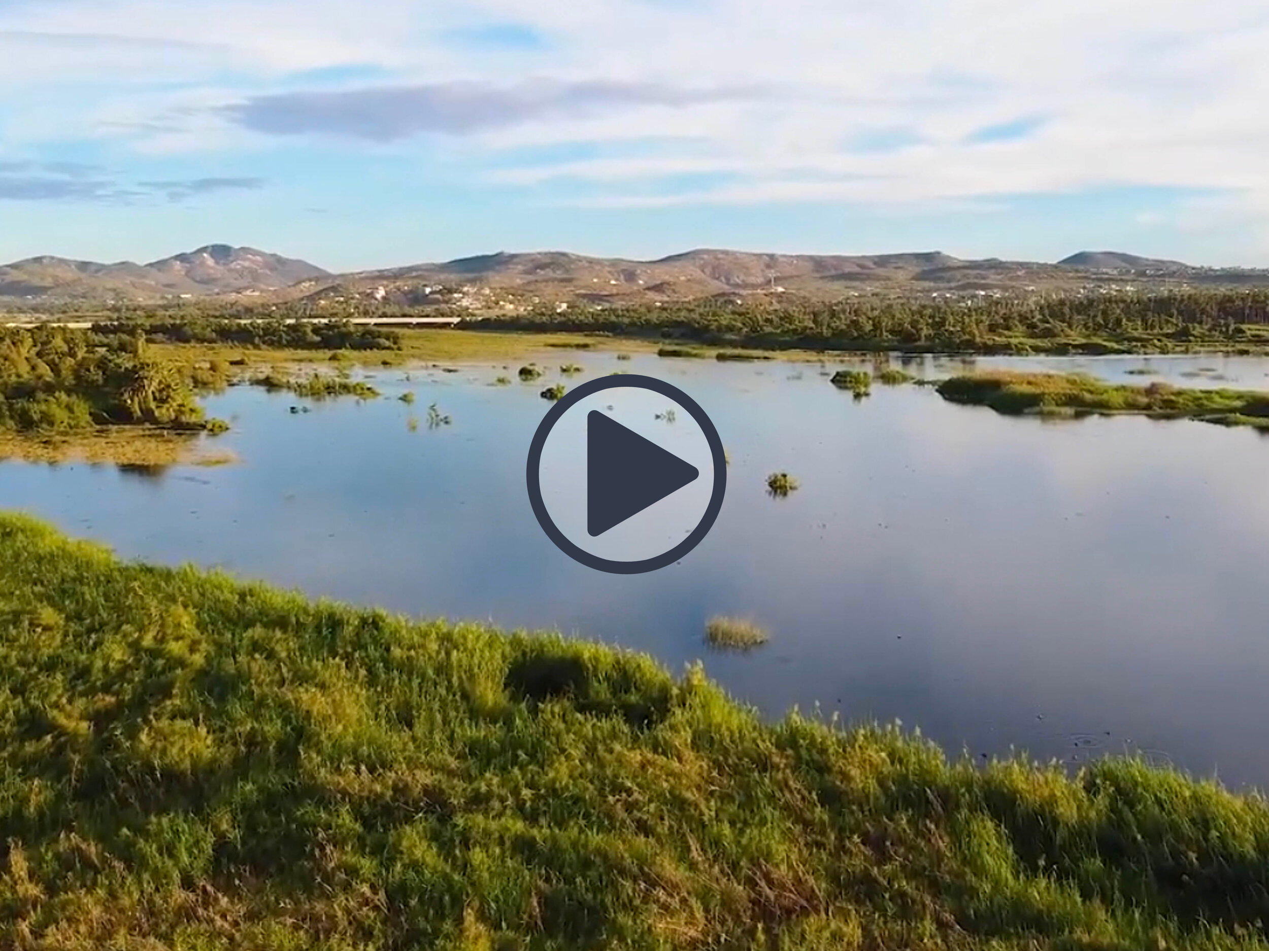 Clicking on video will open a new window to a Facebook page.