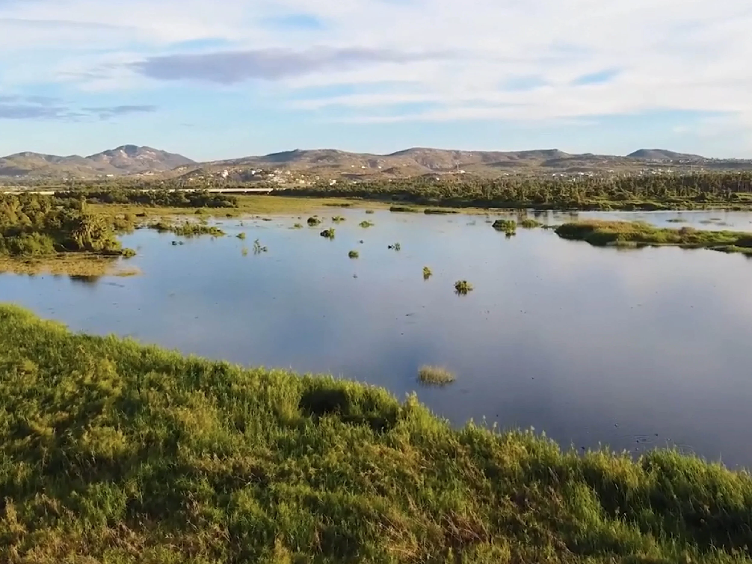 The Estuary in San Jose del Cabo_main image.jpeg