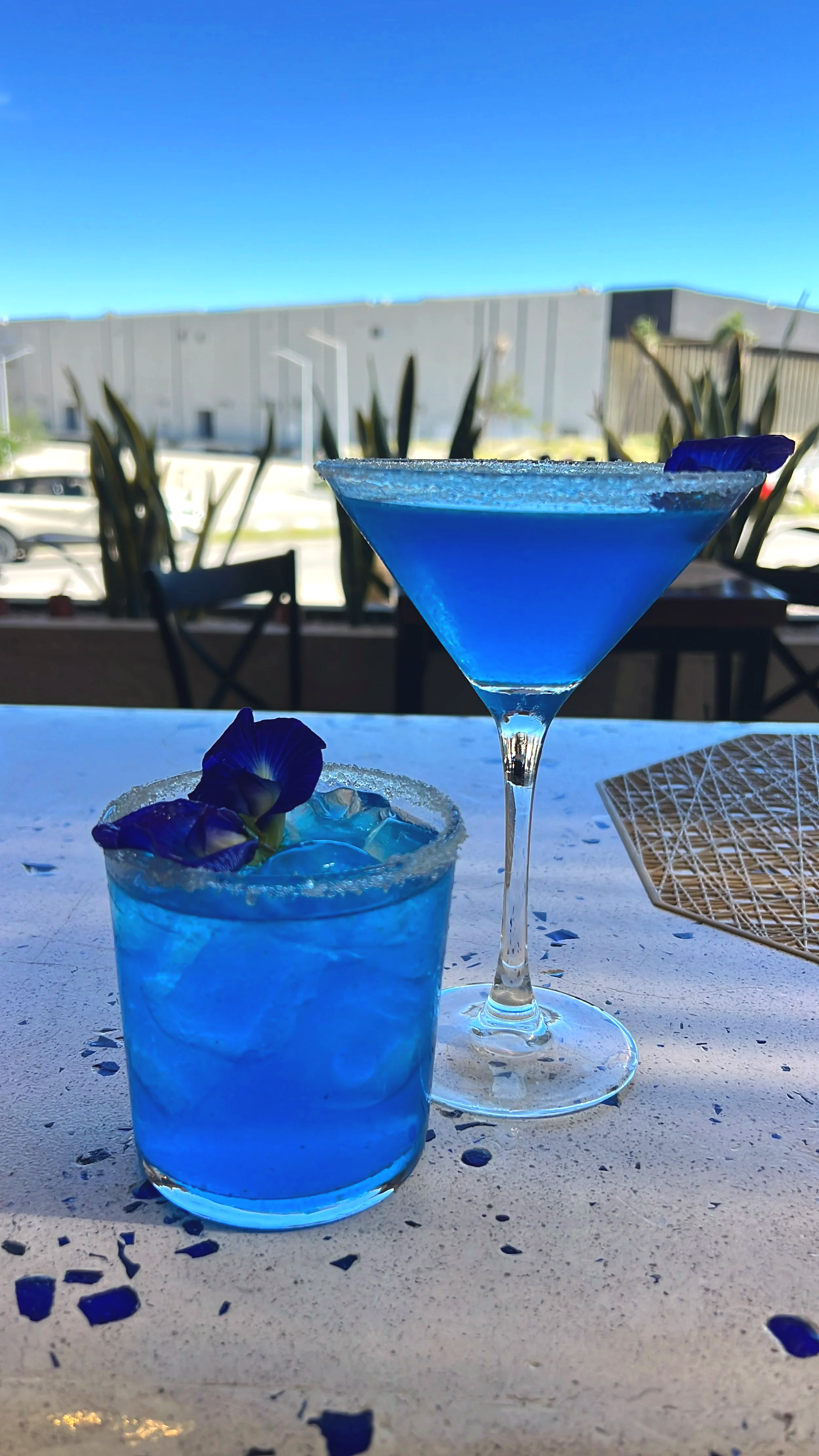 Blue Cocktail
