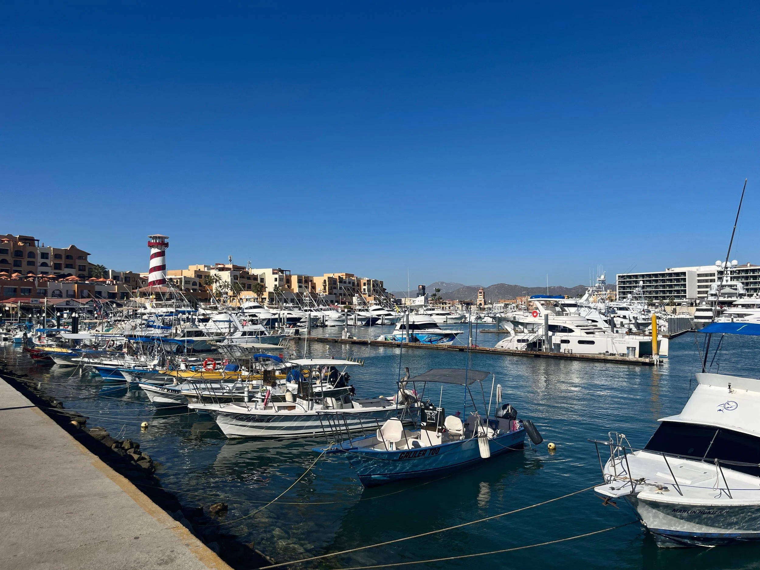 fishing AdobeStock_561579699.jpeg