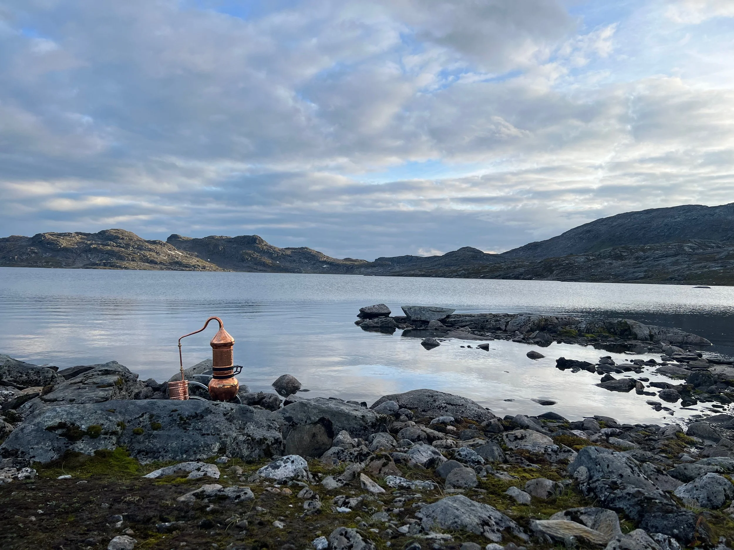 KatrinWoelgerCabinForCulture - 68.jpeg