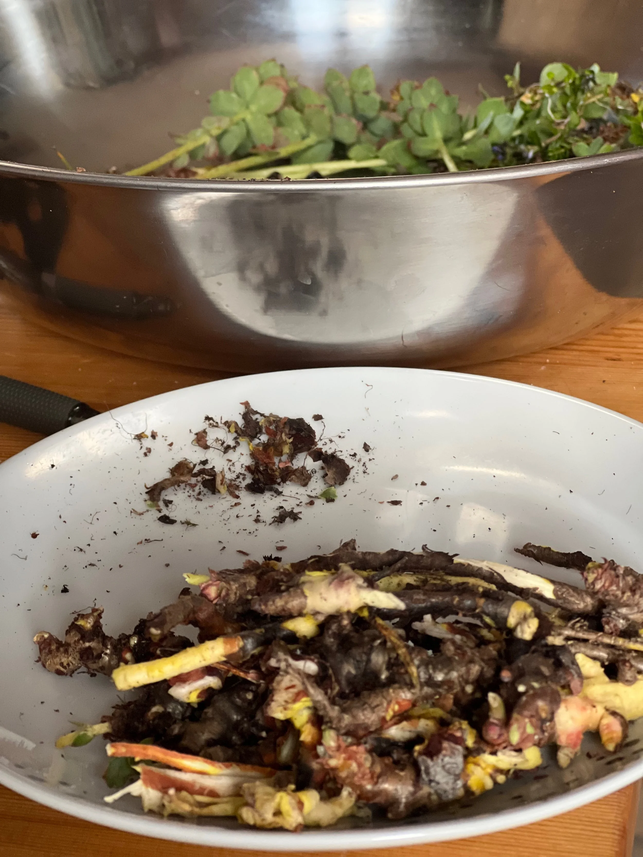 KatrinWoelgerCabinForCulture - 218.jpeg