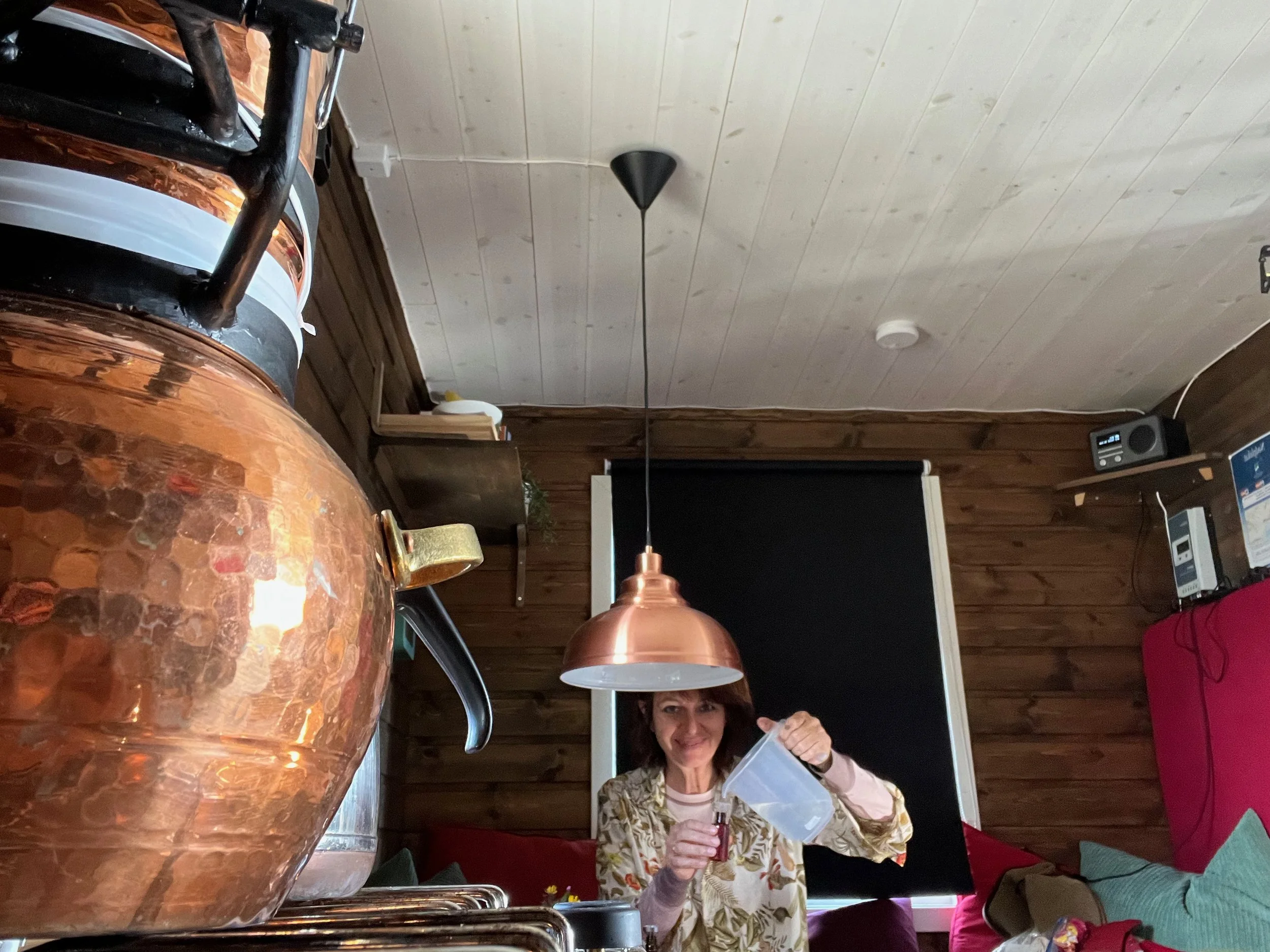 KatrinWoelgerCabinForCulture - 150.jpeg