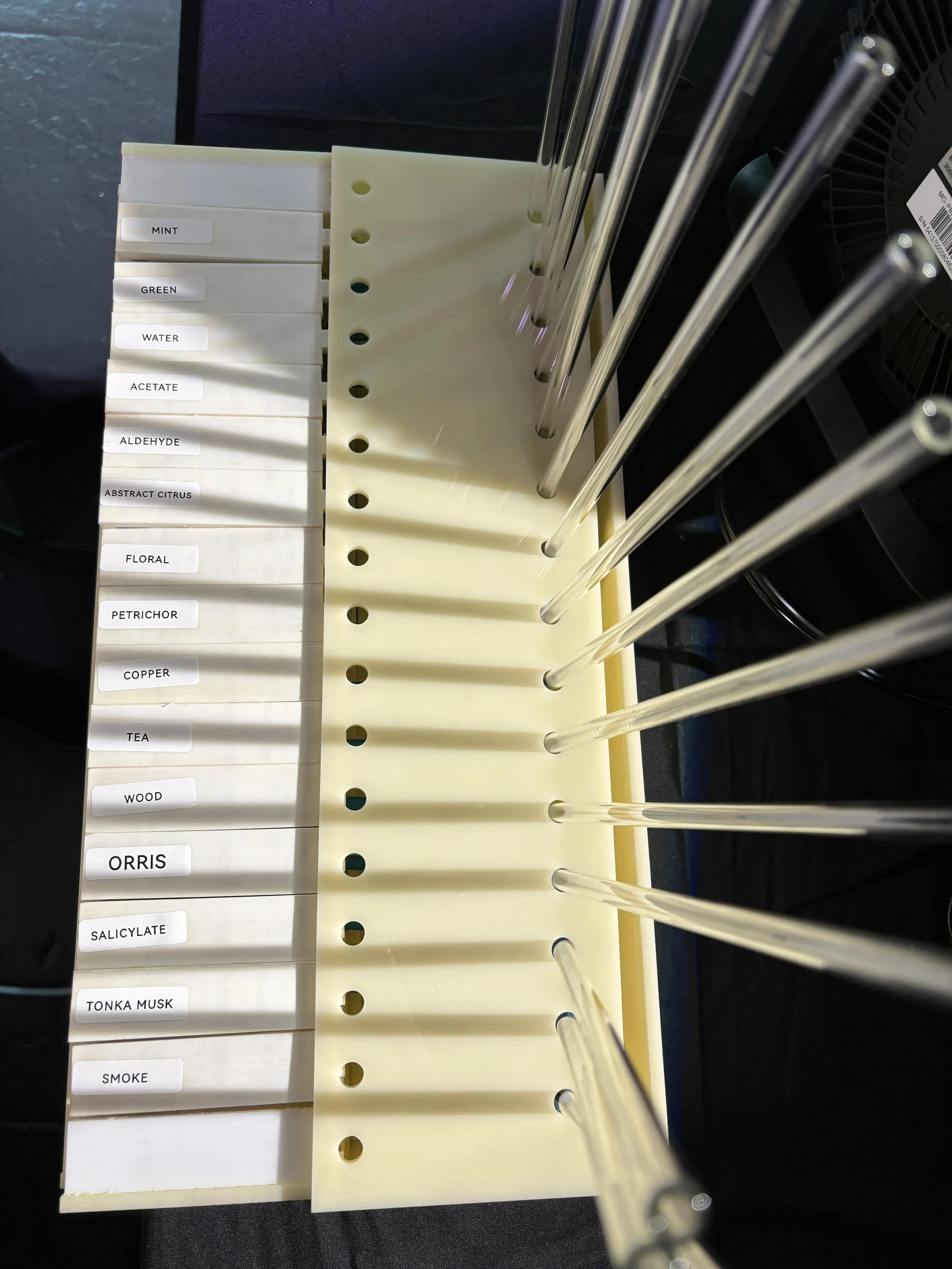  Image 2025-10-17 at 00.38.45. Catherine Sanchezjpeg.jpeg