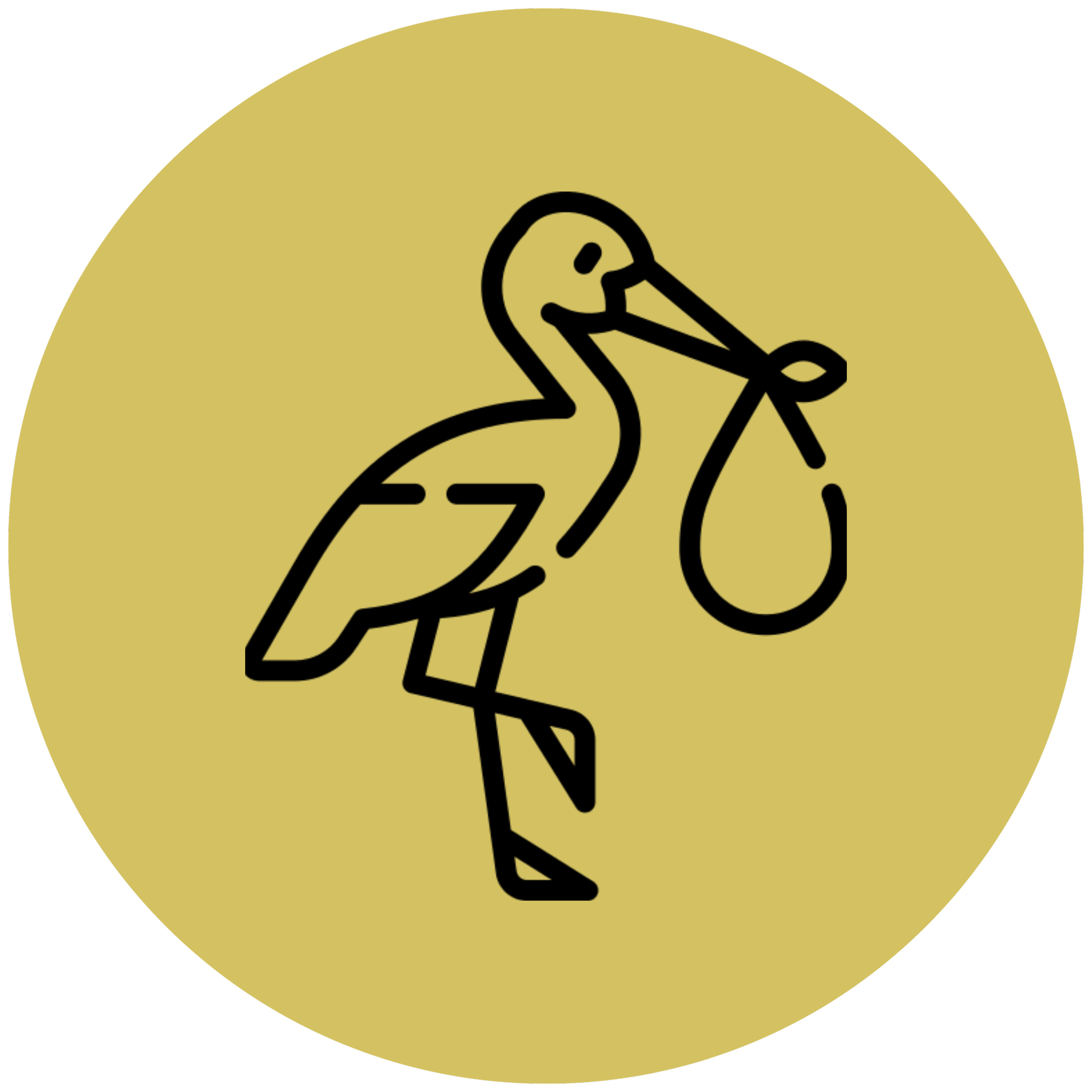 golden yellow circle with stork carrying baby coastal birth club classes
