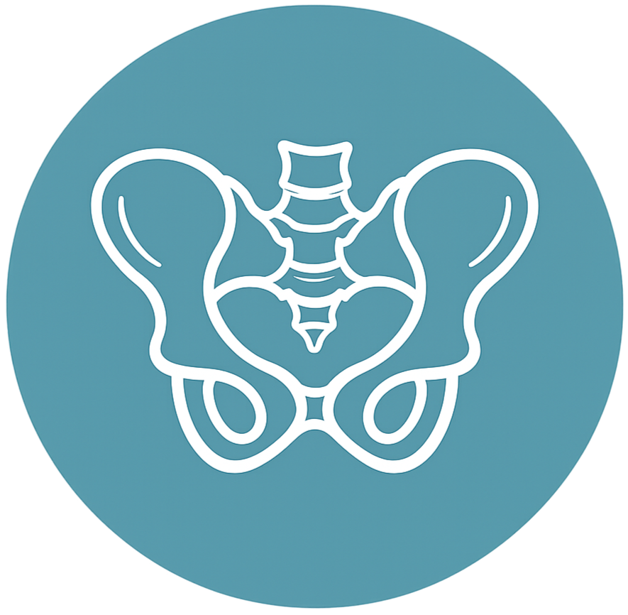 Line drawing of a human pelvis and reproductive organs on a teal background.