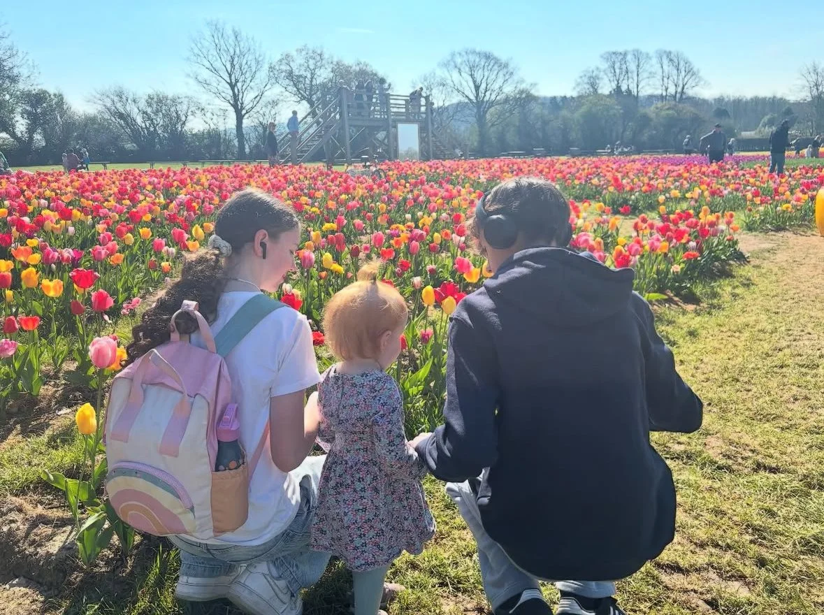 A family of three kneeling by a colorful tulip field during daytime, with a wooden observation deck and trees in the background.