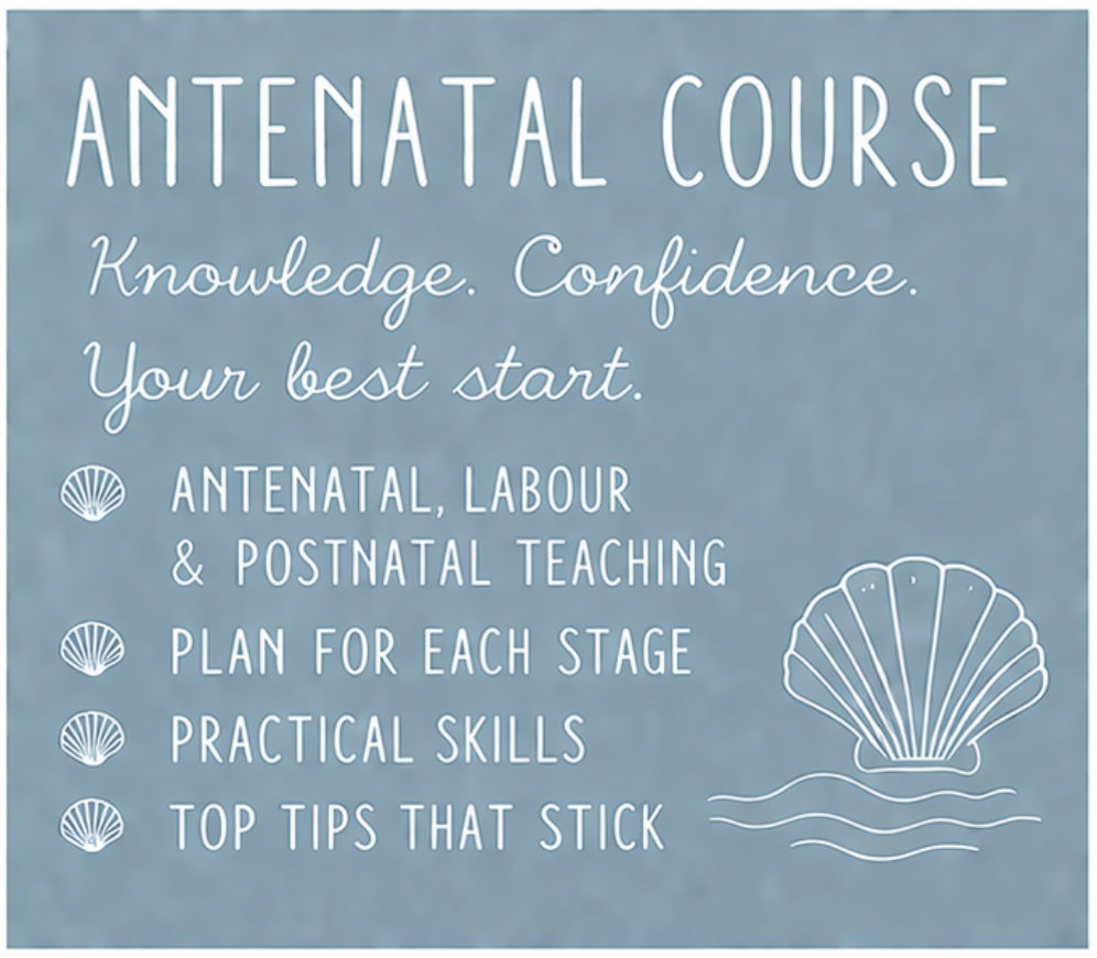 Antenatal course description with shell illustrations and text promoting knowledge, confidence, and practical skills. What you will gain in antenatal classes Exmouth, devon. At the coastal birth club