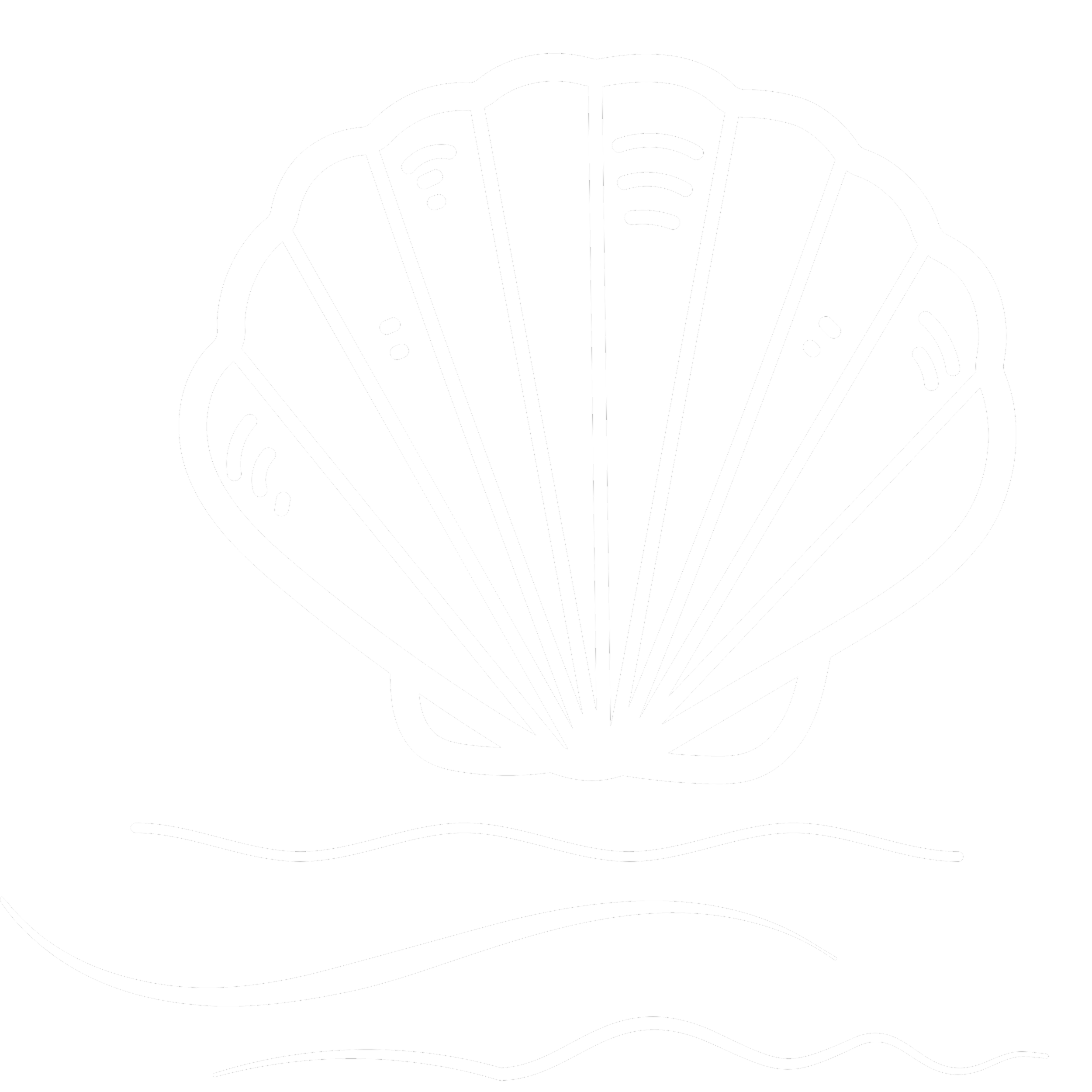 White shell with waves underneath. Exmouth coastal birth club icons