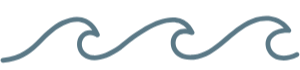 coastal birth club wave logo in blue