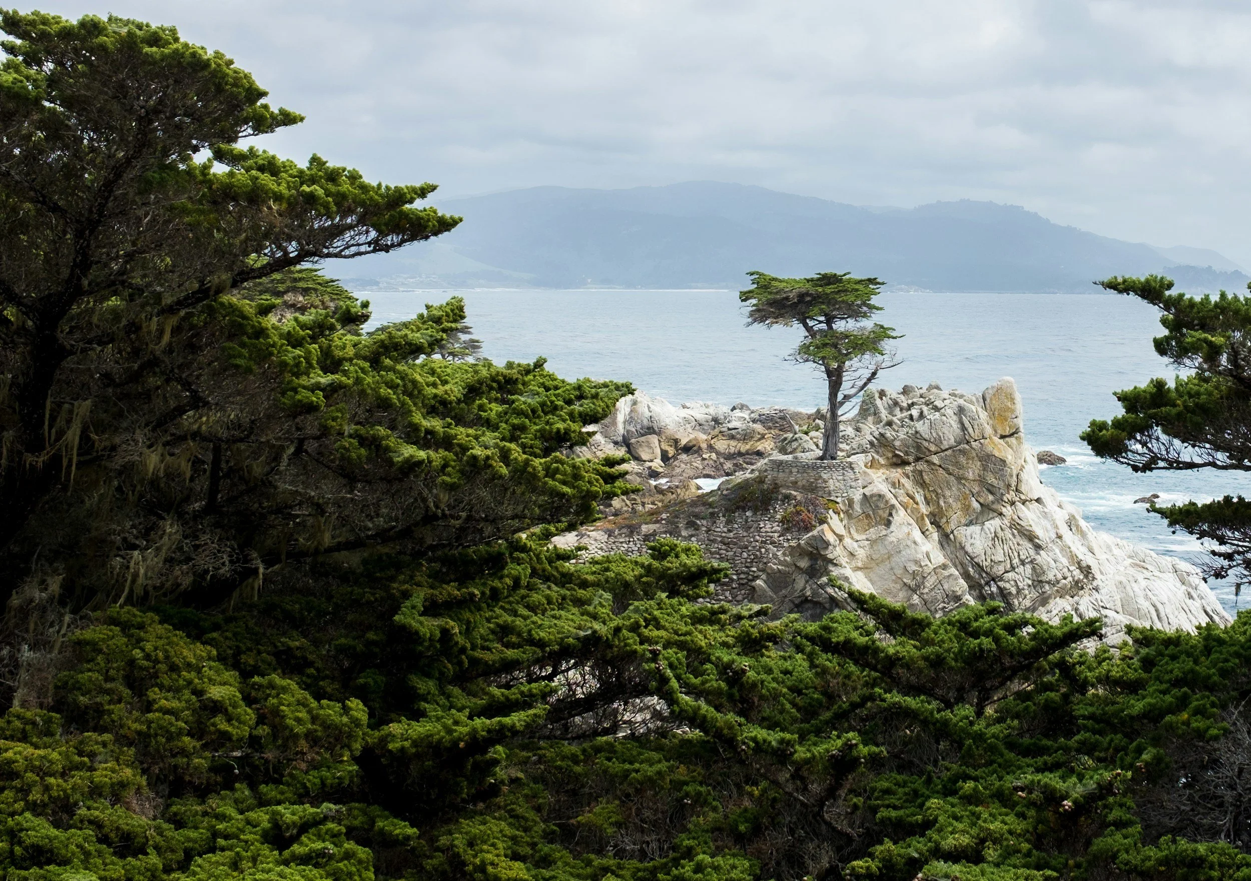 A rocky coastal landscape featuring a solitary pine tree on a large rock, with lush green trees in the foreground, overlooking the ocean and distant mountains under a cloudy sky.