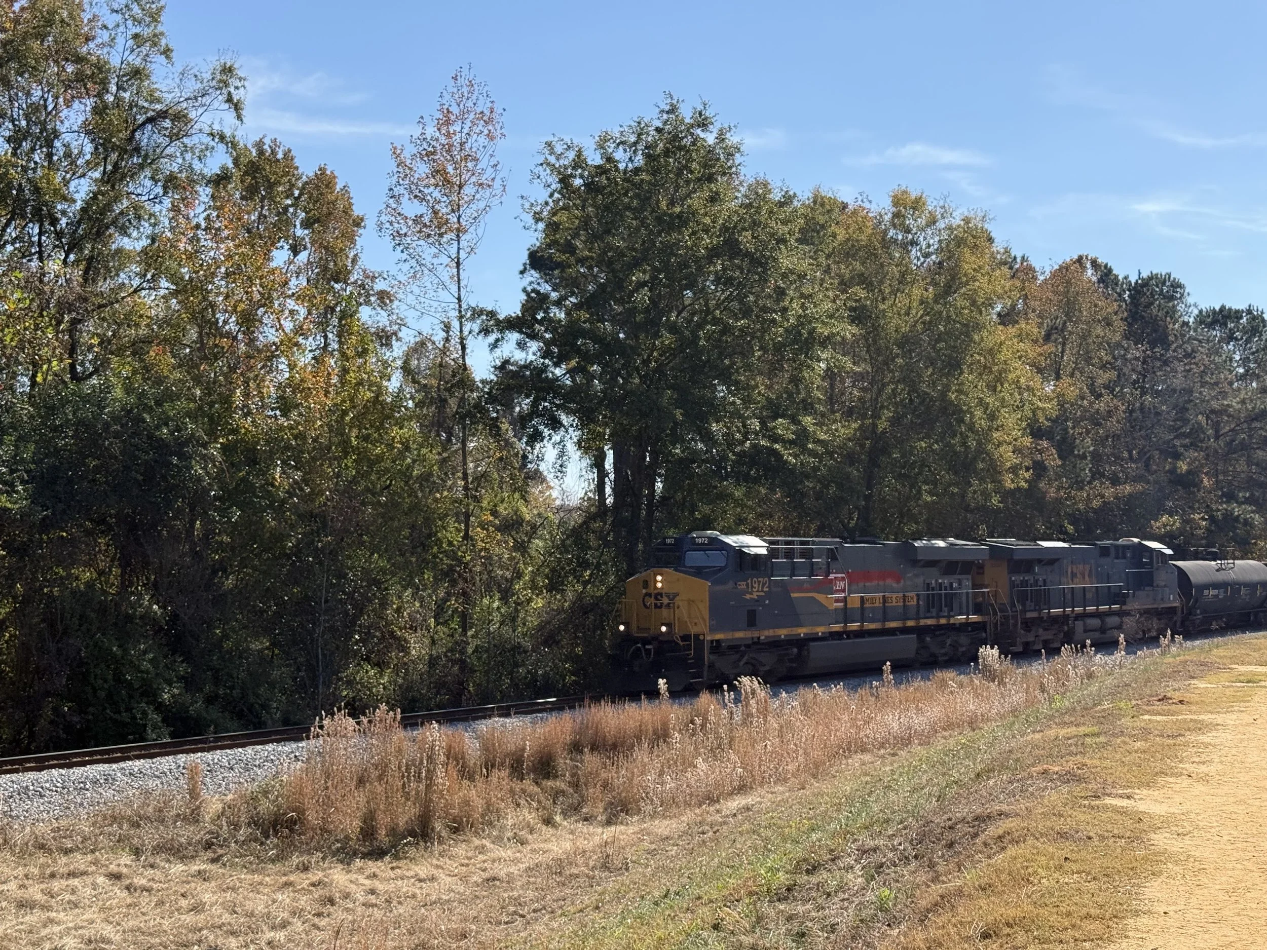 A train traveling on railway tracks through a wooded area under a clear blue sky.