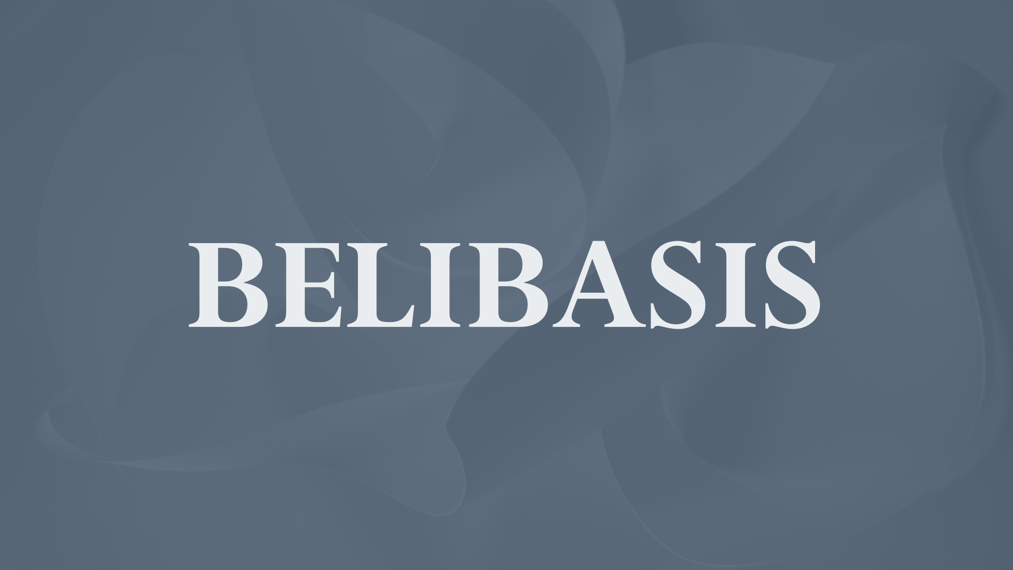 Gray background with white text that says "BELIBASIS".