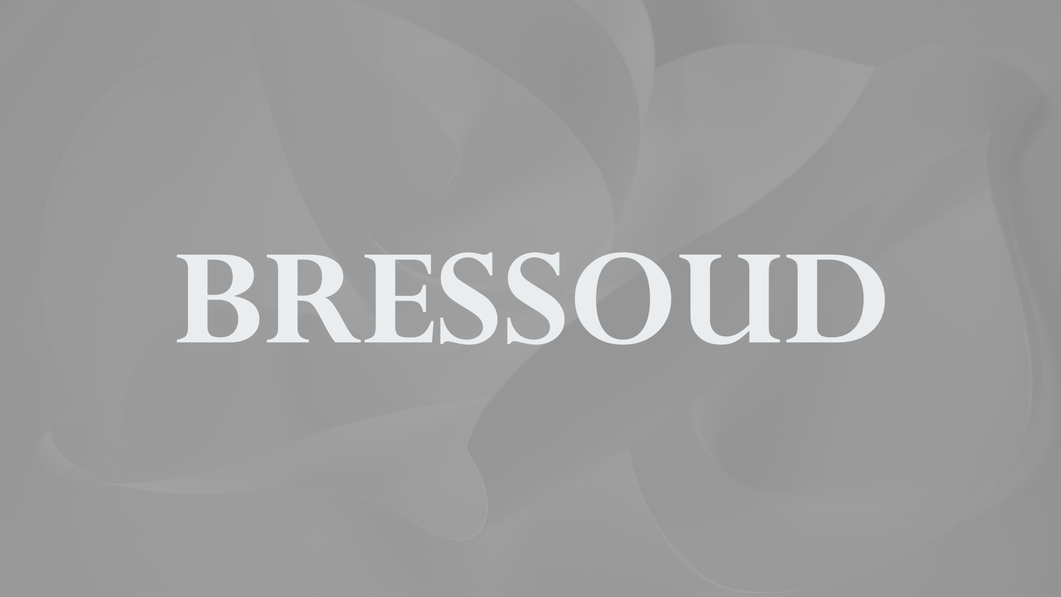 Text overlay reading 'BRESSOUD' on a gray, abstract background.