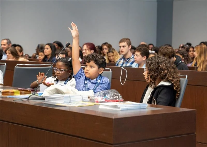 Child raising hand.jpg