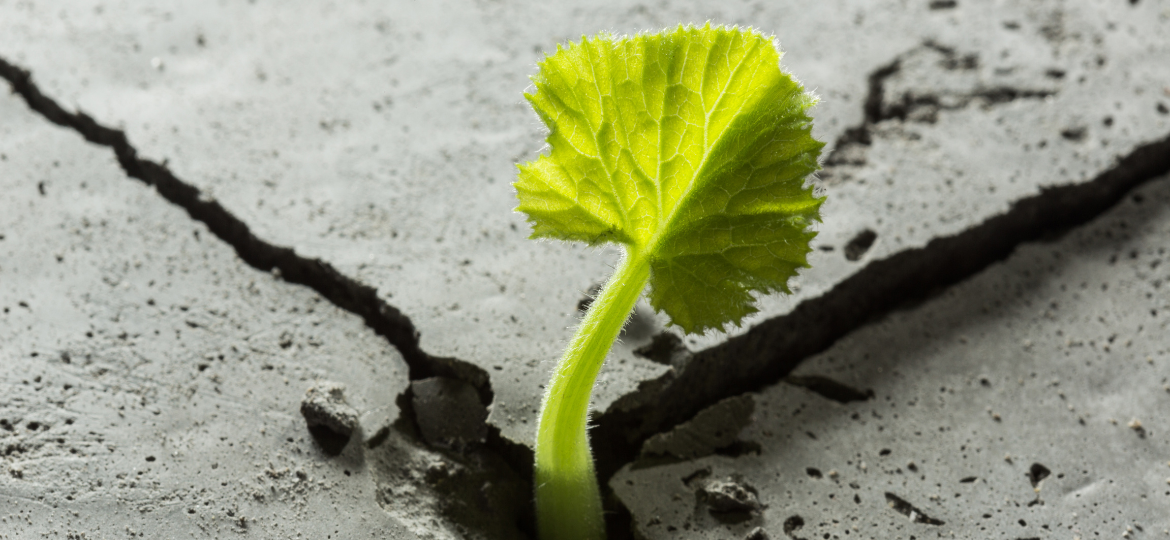 Building digital resilience for the climate crisis