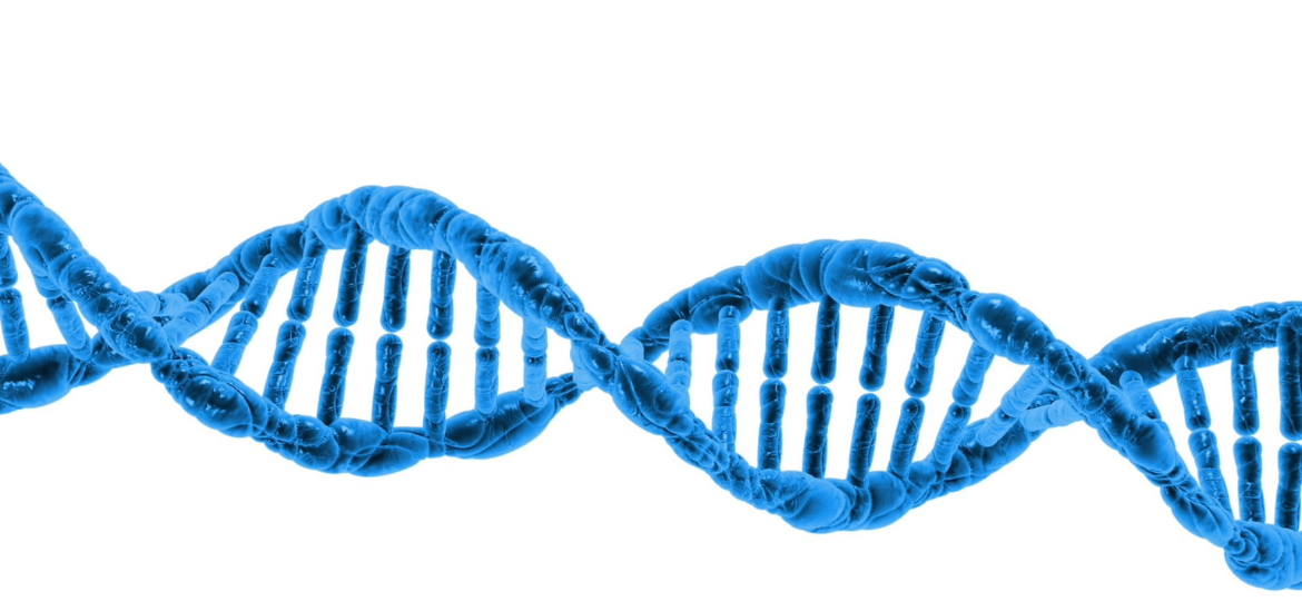 Development and characterisation of DNA aptamers immobilised on gold electrode surfaces for utility in wearable electrochemical biosensors