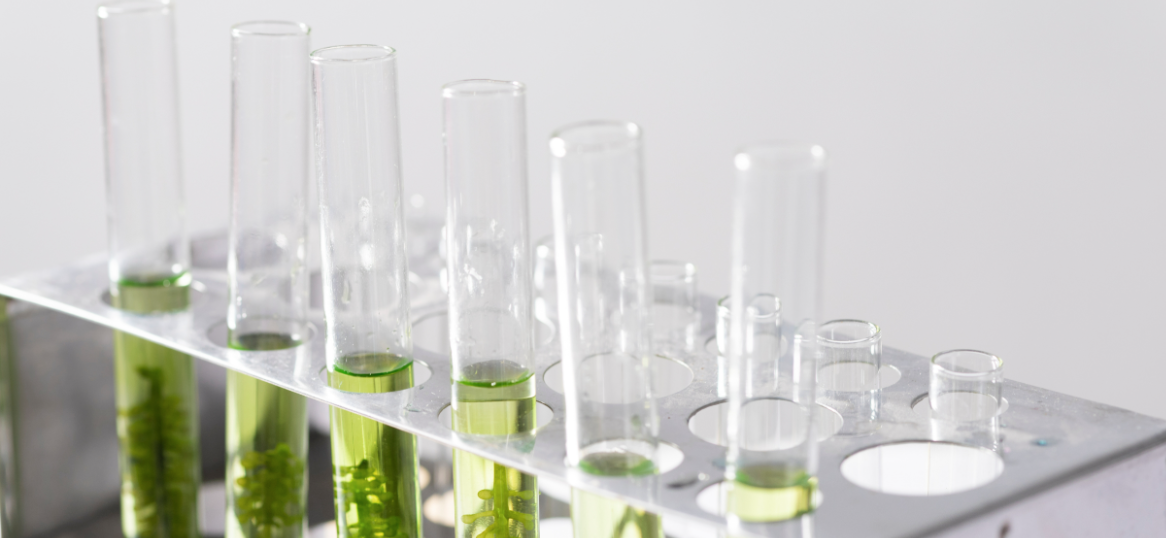 Yeast fermentation and strain optimisation for the Ethtec Cellulosic Ethanol Pilot Plant Project