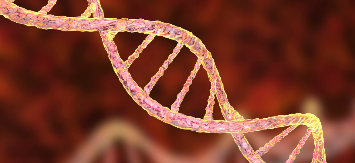 Determining population genomic structure of the animal disease vector Culicoides in Northern Australia to inform surveillance efforts and decision-making
