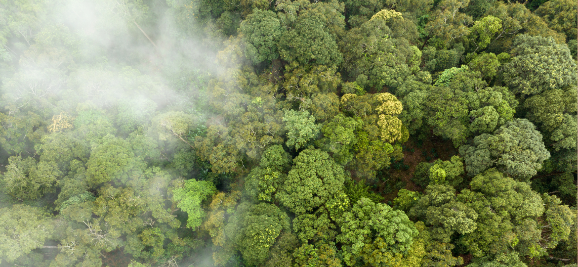 Investigation on the use of value-added pond ash as a construction material