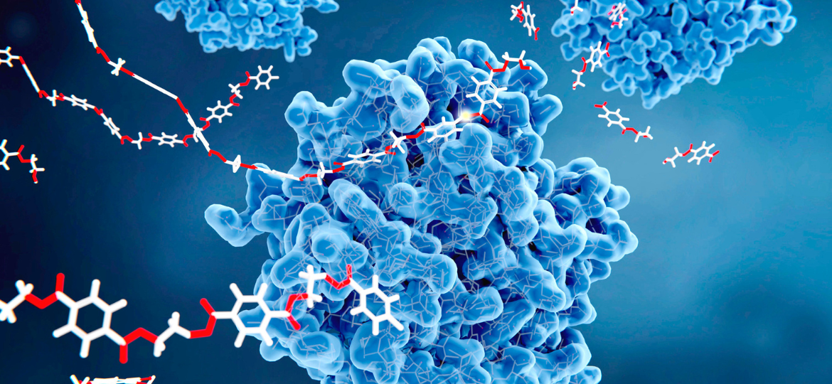 Working towards infinite recycling: Engineering enzymes to break down plastics