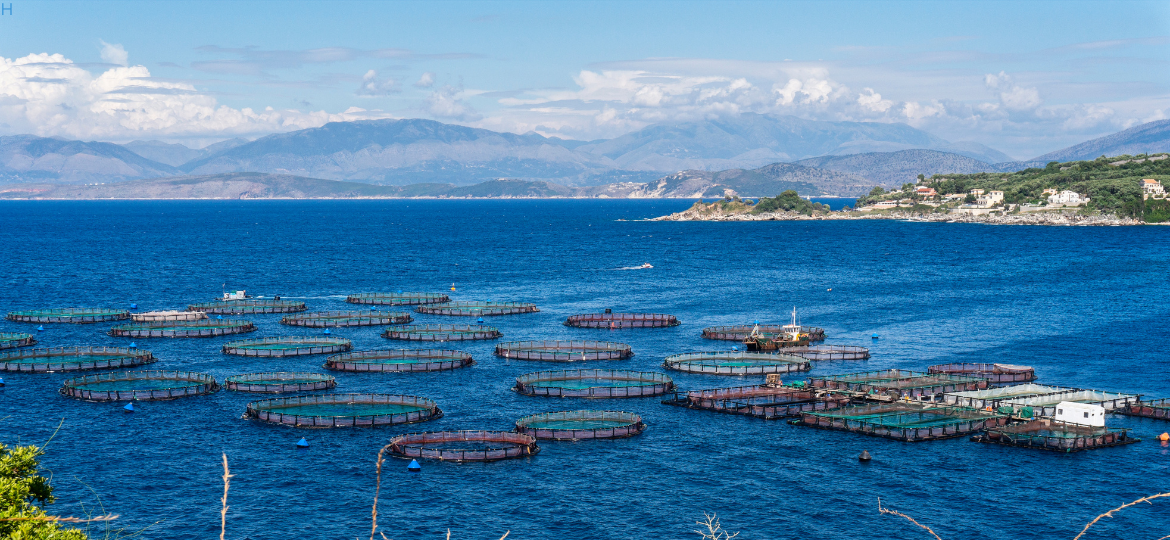 Women in the Seafood Industry of the Northern Territory: Participation, Contribution and Workforce Attraction and Retention
