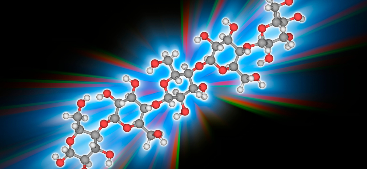 Polysaccharide-based double-grid structure pore-size-adjustable material’s preparation &amp; its applications
