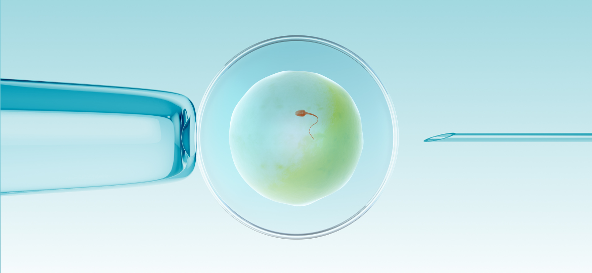 Follicular fluid: the forgotten fluid