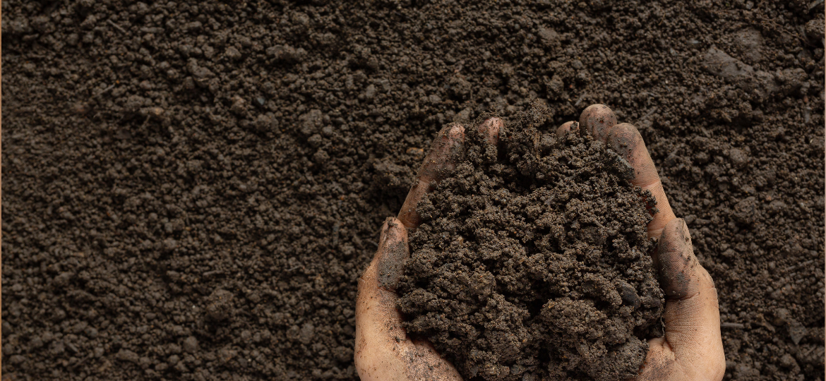 Field Data Back-Analysis to Interpret the Consolidation Behaviour of Vacuum Preloaded Soft Soil Foundations