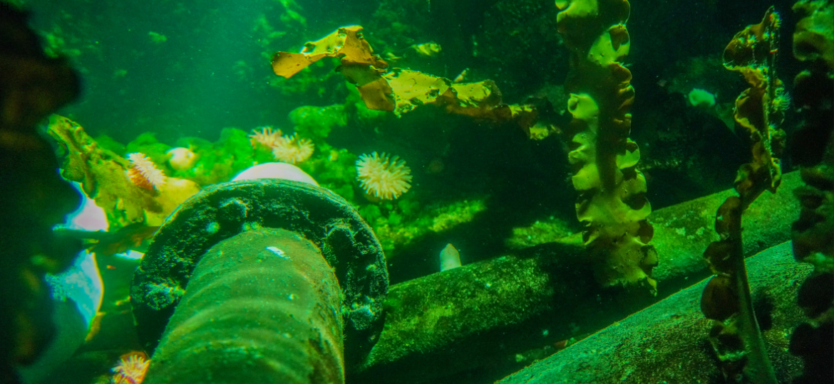 Optimising Subsea Gas Pipeline Decommissioning via Real-Time Data Gathering and Innovative Tracking and Communication Technology