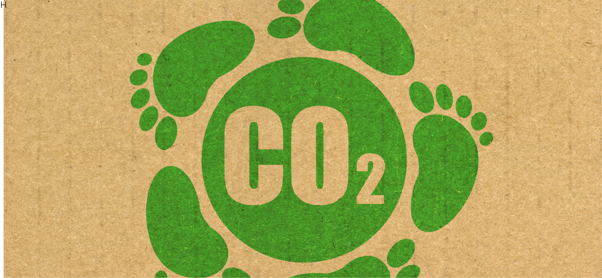 Syngas and CO2 Conversion into Fuels, Methanol, Formic Acid, and Acetic Acid