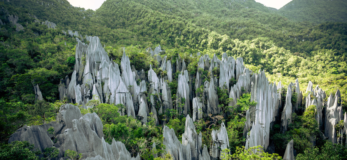 Technoeconomical Design of Large-Scale CO2 Geo-Sequestration in Aquifer of Mungaroo Formation