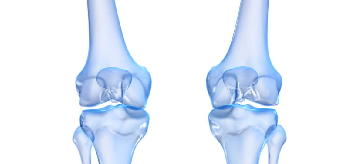Towards Automated, Generalised and Flexible Bone and Joint Measurements