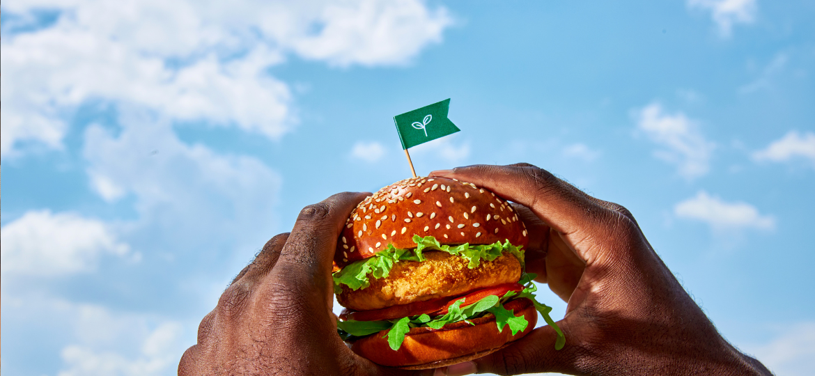 Use of instrumentation to characterise plant-based meat analogues (PBMA) and develop flavour improvements to drive purchase intent