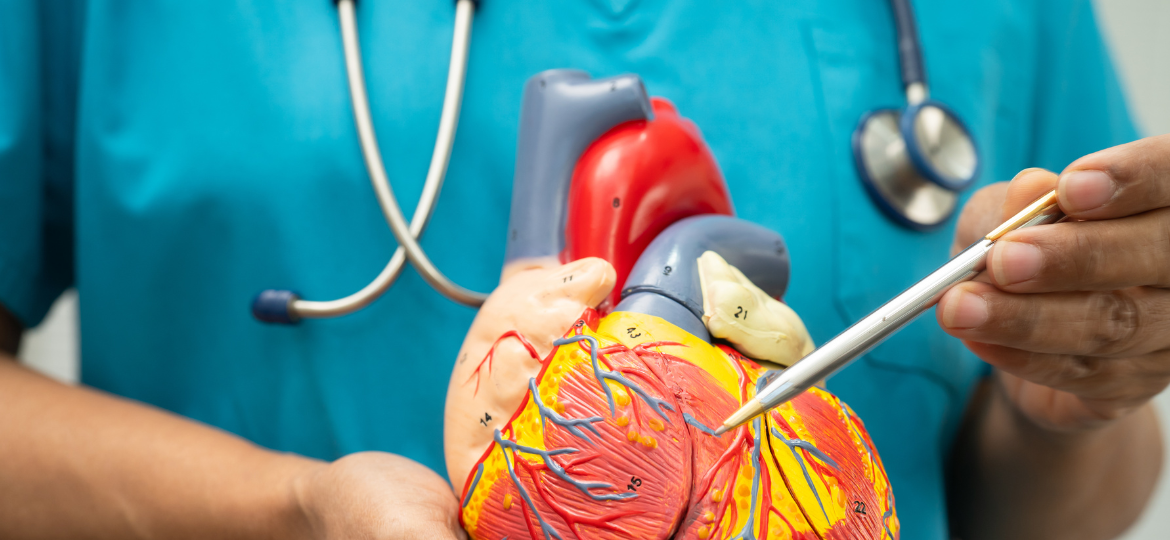 Automated extraction of heart failure concepts from clinical text for real-world applications