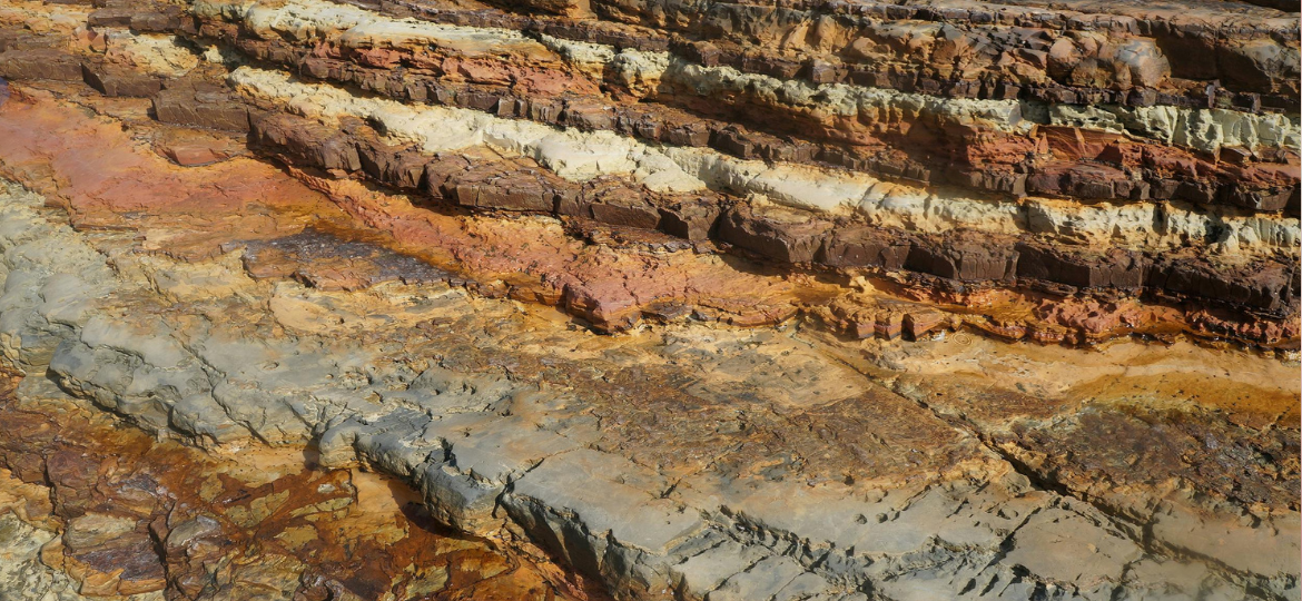 Study on Sediment Dynamics in Batemans Bay based on modelling and observations