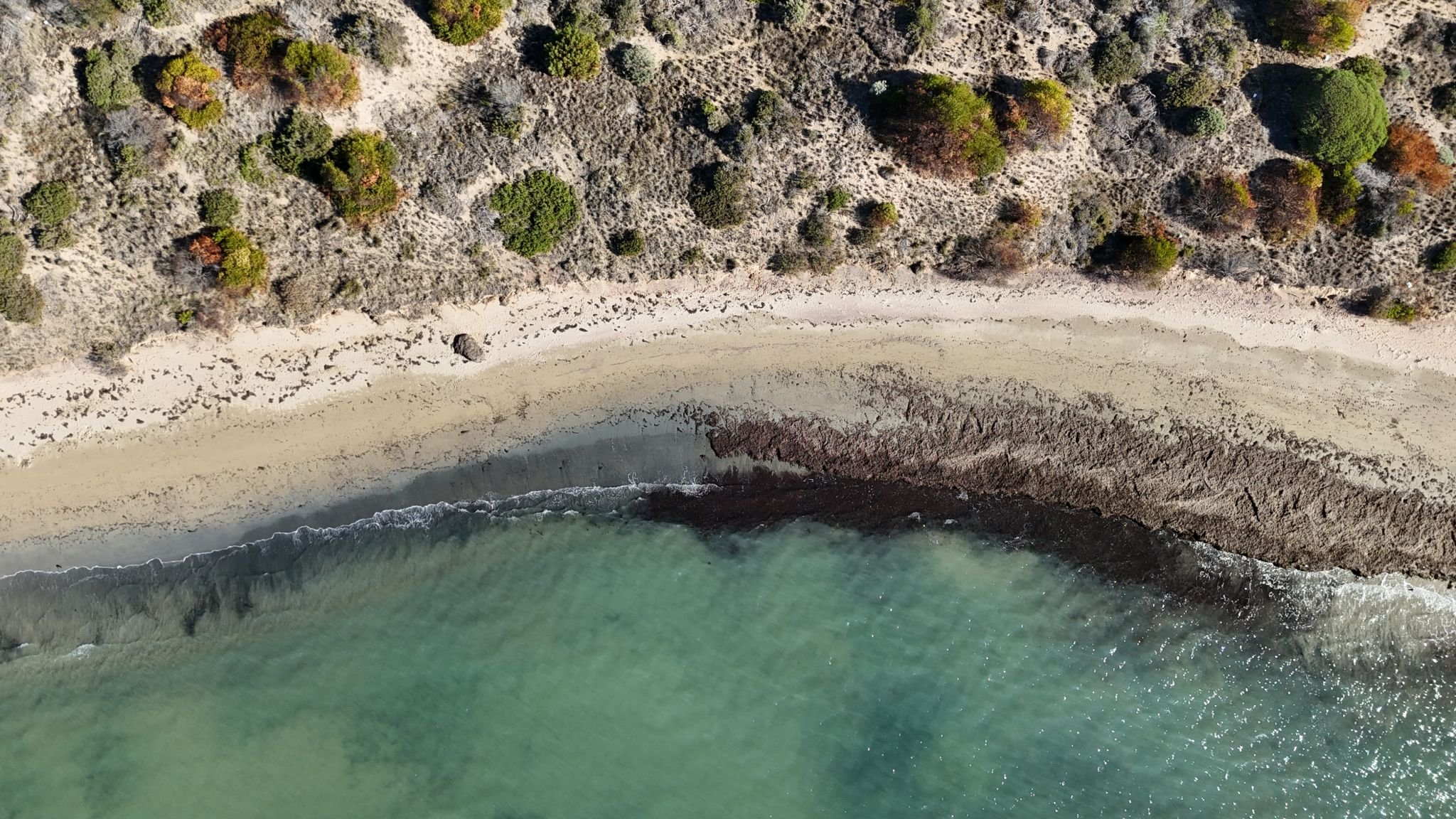 Hybrid Coastal Protection: Integrating Nature based and hard engineered structures for Climate-Resilient Shorelines