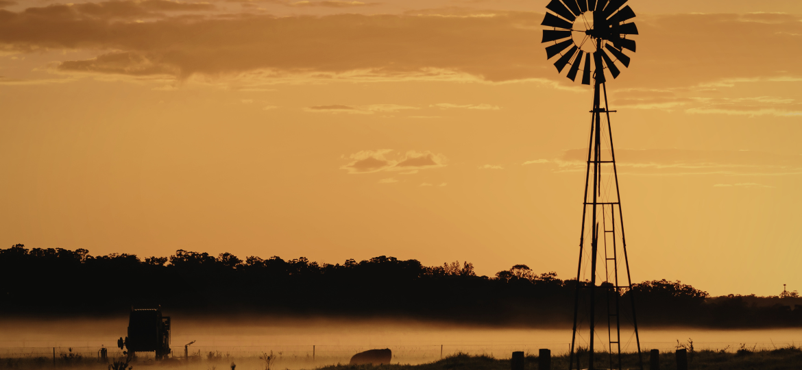 Co-developing new services and programs in agricultural land management for biodiversity outcomes and environmental market access in remote Australia