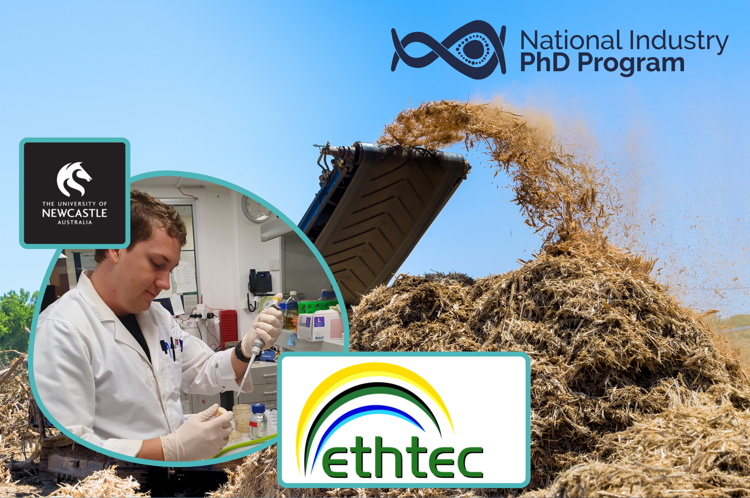 Turning Agricultural Waste into Renewable Fuel: How Smarter Yeast Could Help Build a Low-Carbon Future