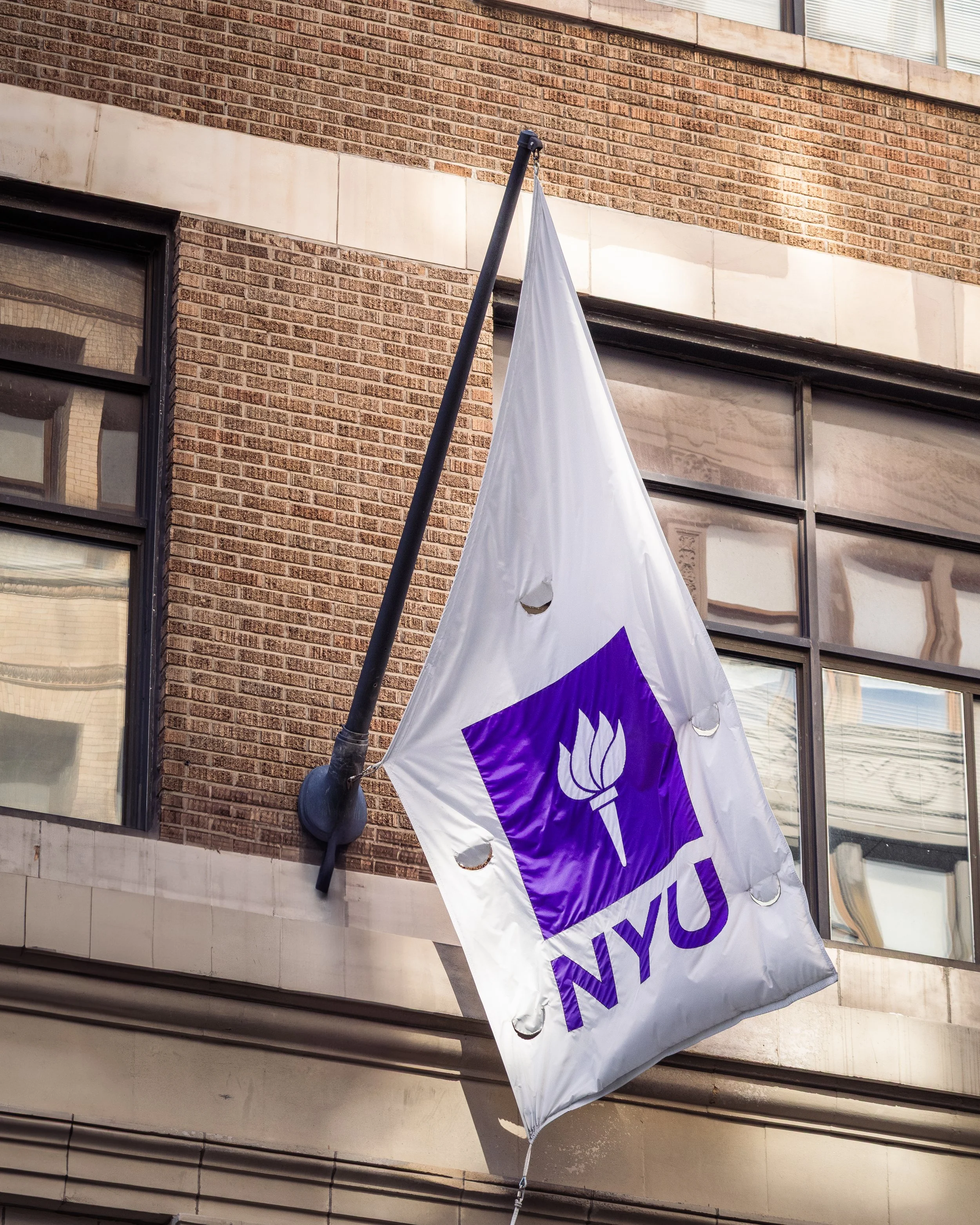 NYU image.jpg