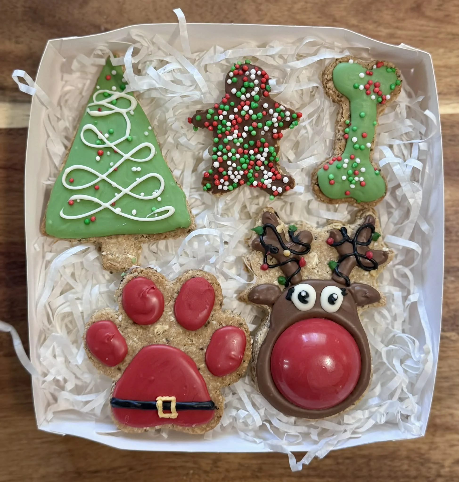 21dd8b41-1725-4786-bb2c-97527ed1550e.jfif