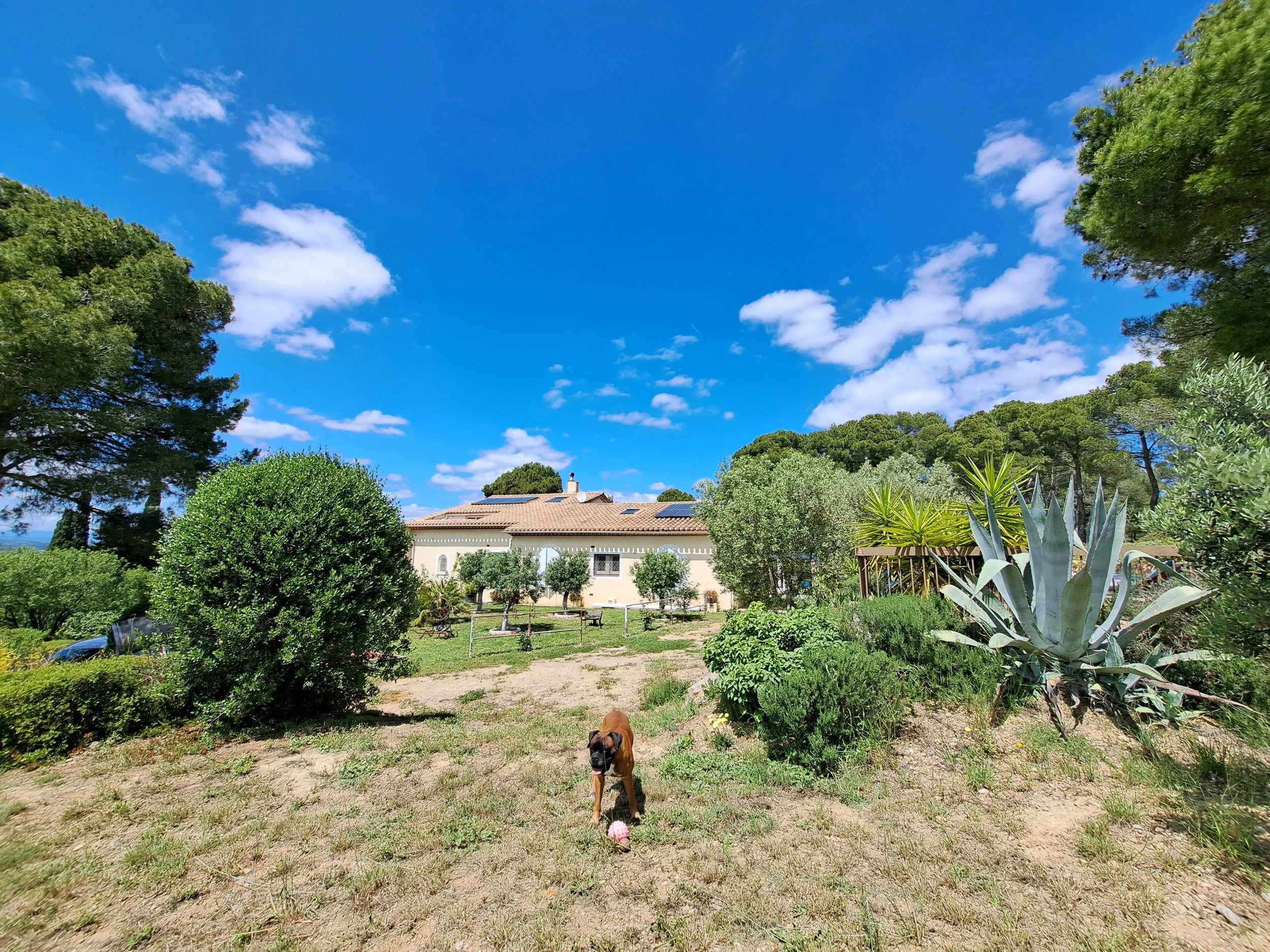 Armissan Pre select 3.jpg