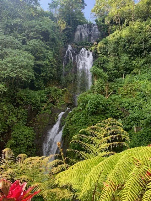 A multi-tiered waterfall cascading down a lush, green mountain surrounded by dense vegetation and ferns.