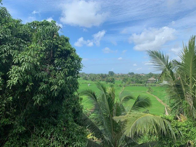 Lush green tropical landscape with tall trees, palm trees, and fields under a partly cloudy sky.