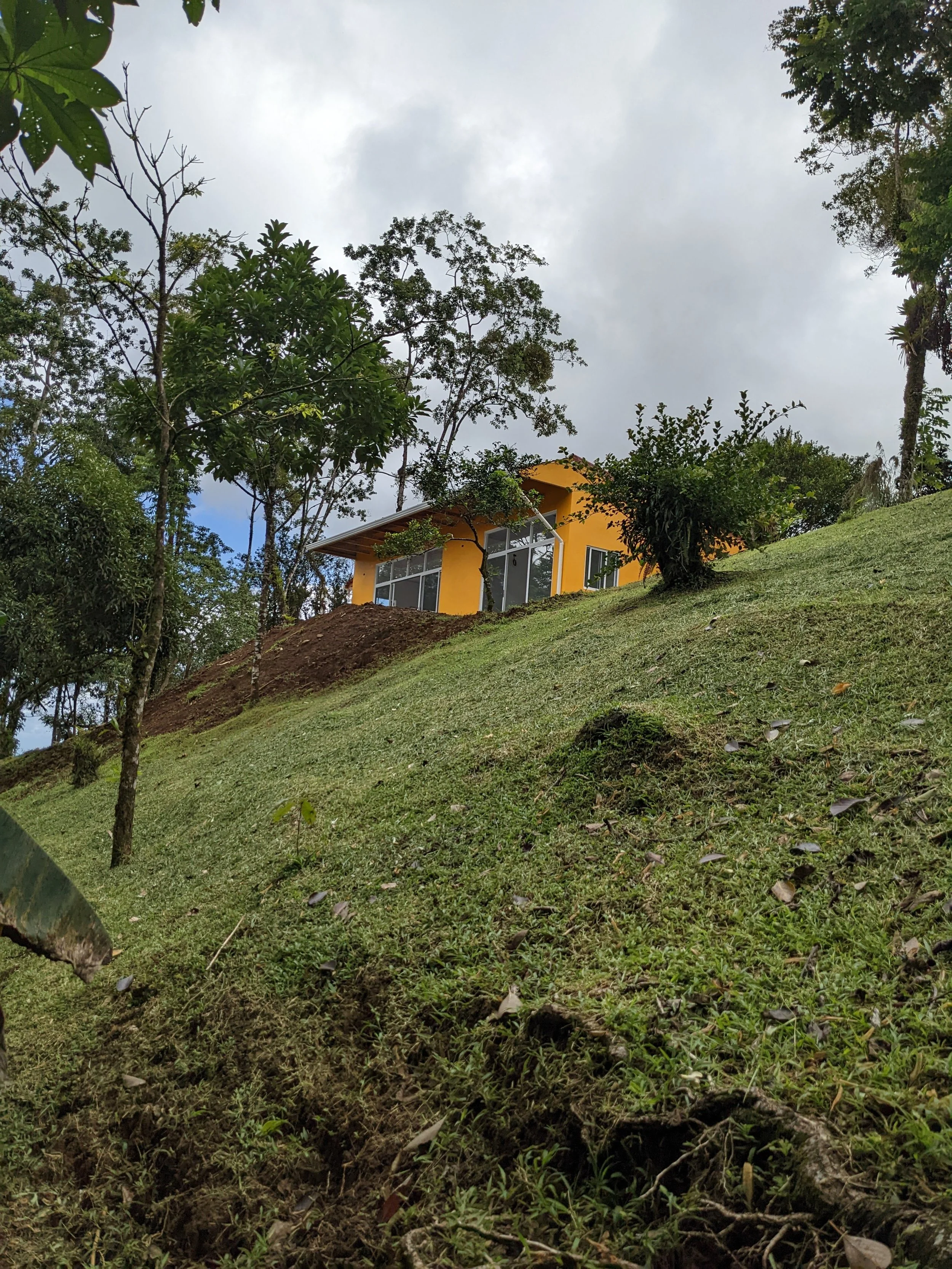 A yellow house on a grassy hillside surrounded by trees, with a cloudy sky overhead.