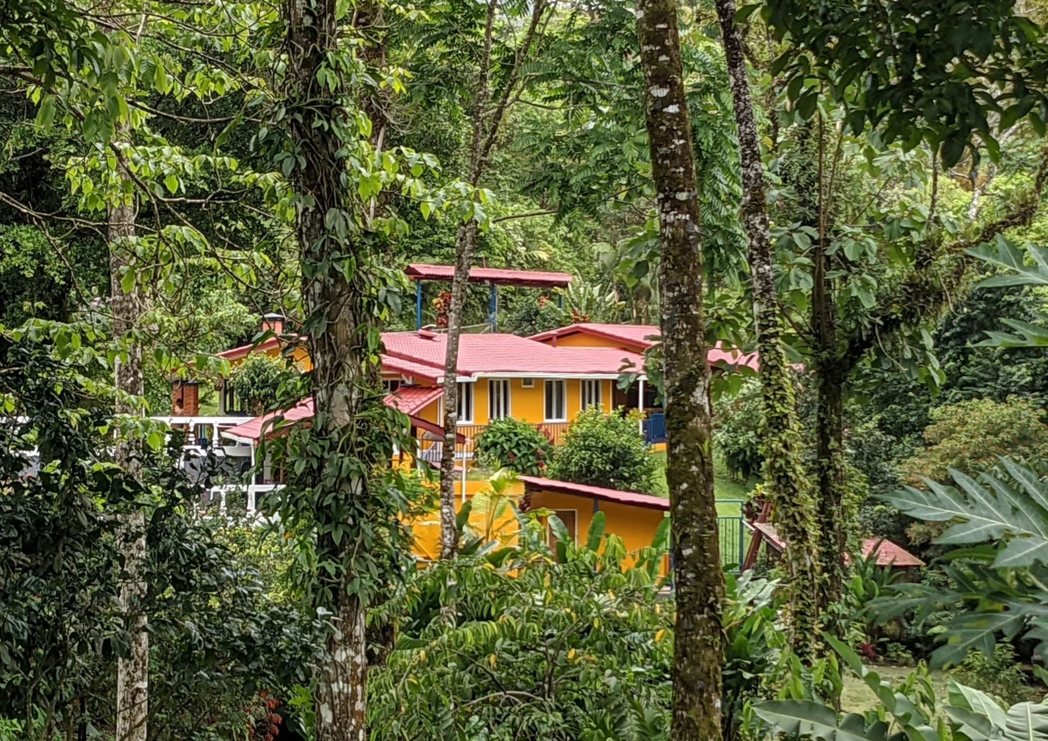 A yellow house with red roofs is surrounded by dense green tropical trees and plants. Costa Rica home and airbnb for sale in the jungle. Income earning property in Costa Rica