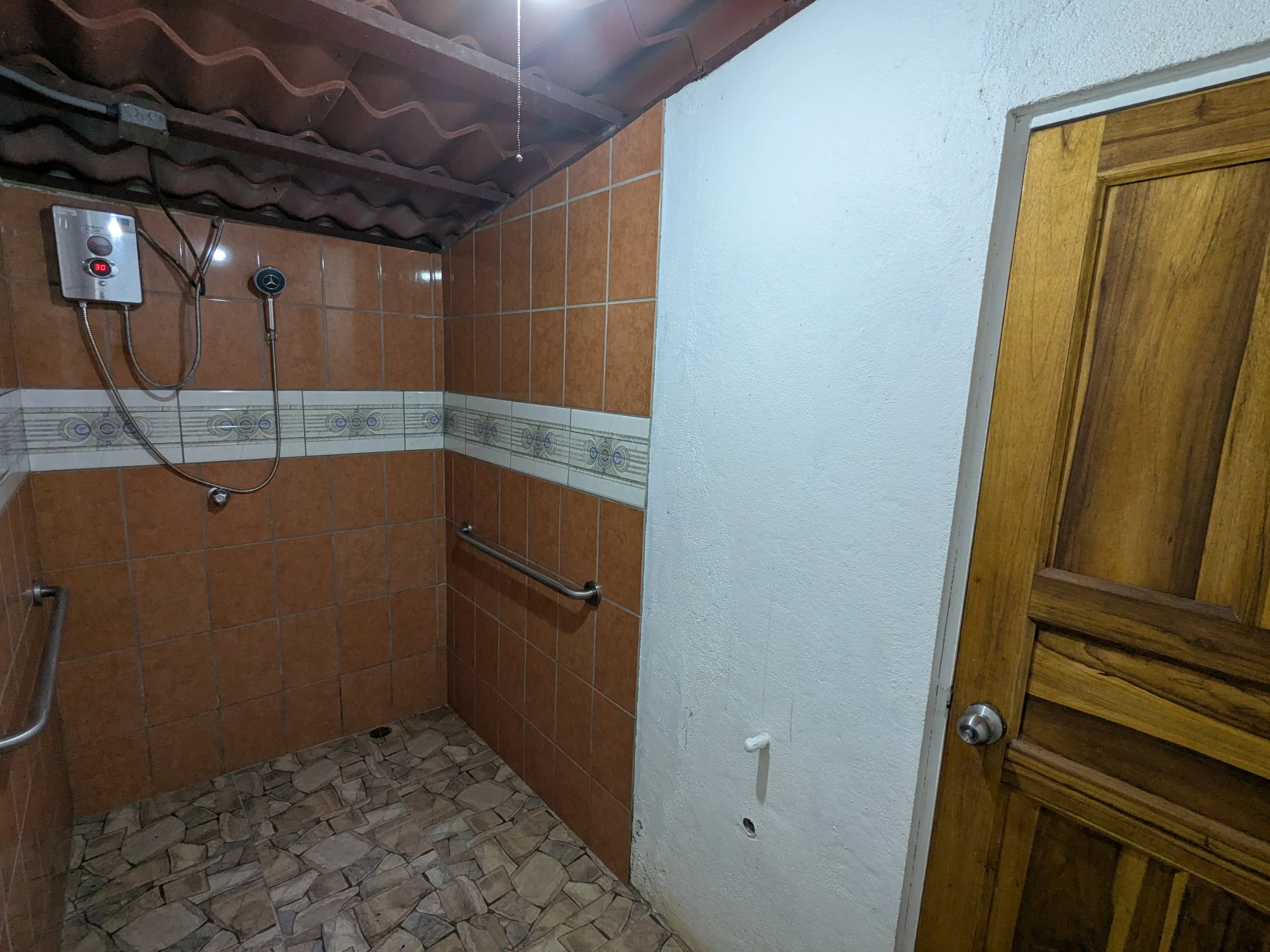 Bathroom with brown tiled walls, a wooden door, and a shower area with grab bars and an electric heater.