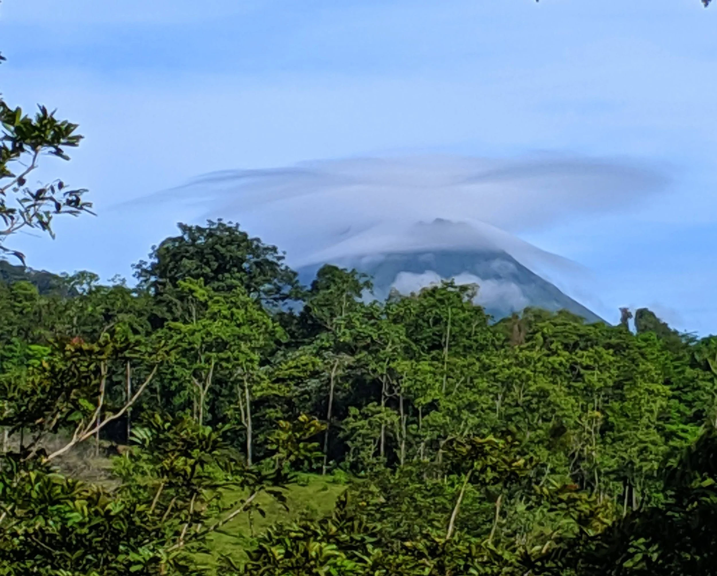A lush green forest with a volcano in the background, partially covered by clouds.