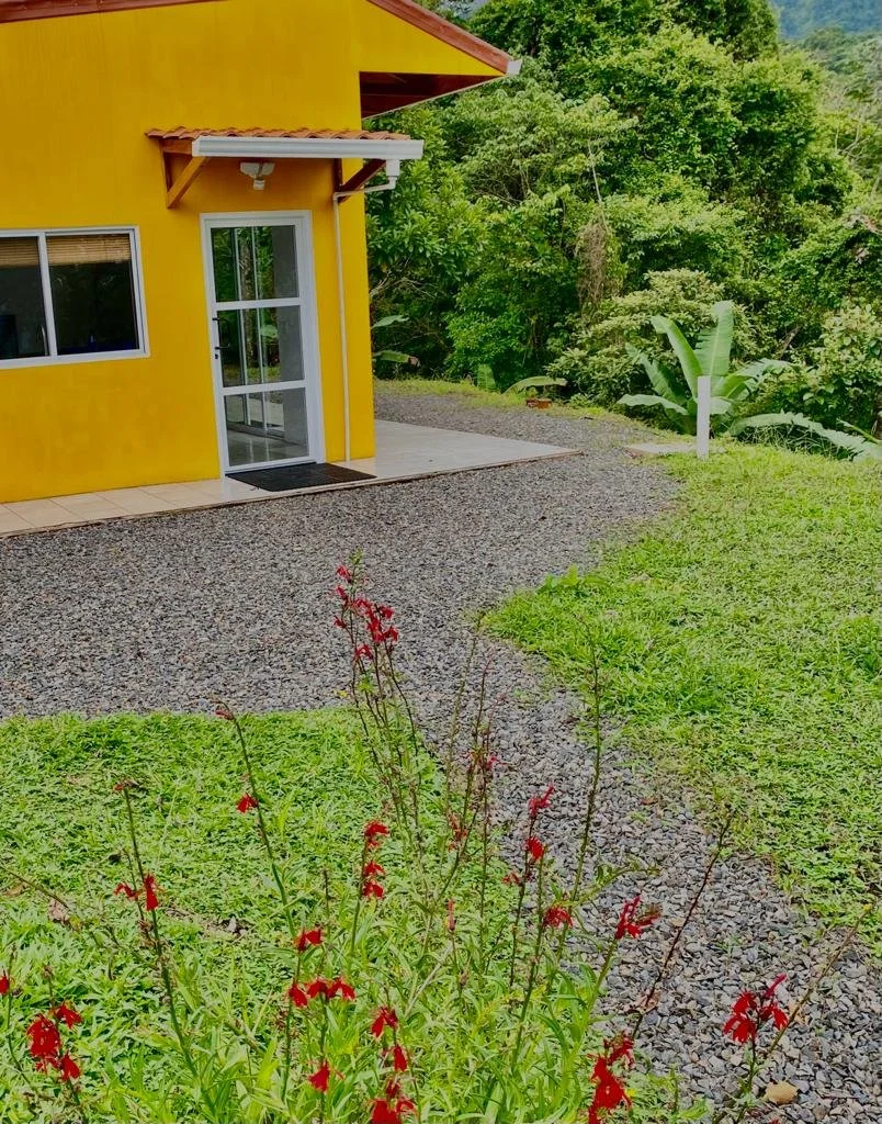 Yellow house with white door and window, green trees and plants in the background, gravel and grass in the foreground with red flowers.