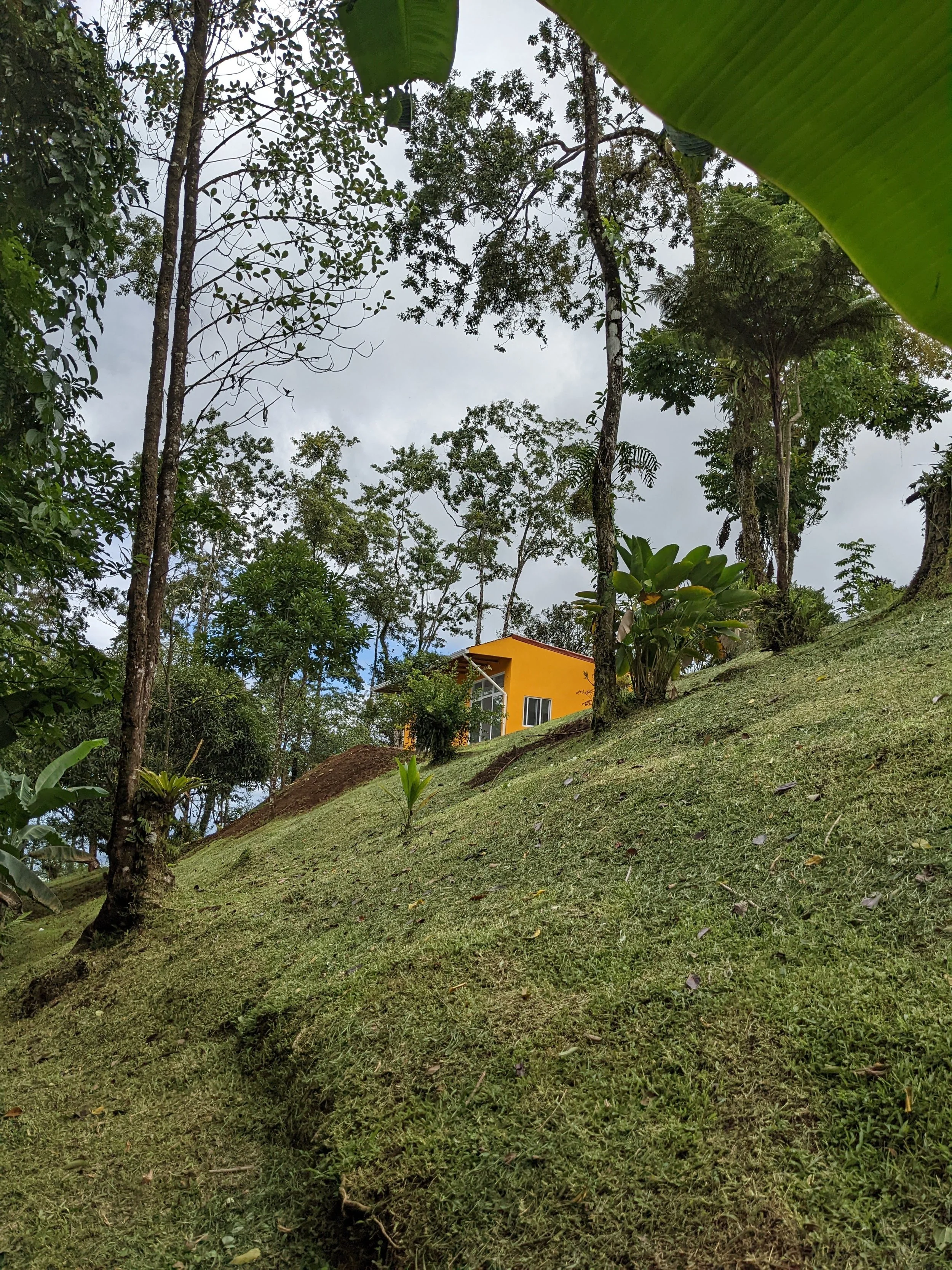 A yellow house on a sloped grassy hill surrounded by trees and lush greenery with a cloudy sky overhead.